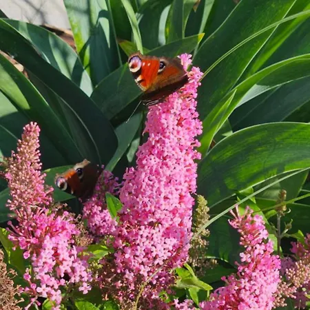 Gartenbungalow Rhönherz Hilders