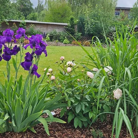 Gartenbungalow Rhönherz Ferienhaus Hilders