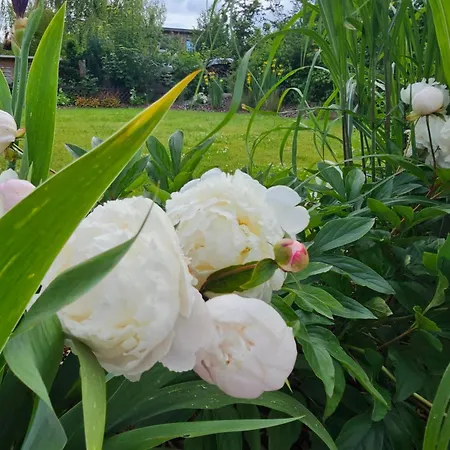 Ferienhaus Gartenbungalow Rhönherz Hilders